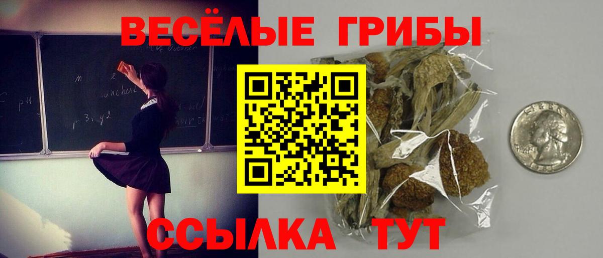 Псилоцибиновые грибы ЛСД Прокопьевск